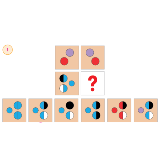 Mavitikli Yayıncılık BİLSEM REHBERİ SETİ  (1.-2. ve 3. SEVİYE) resmi